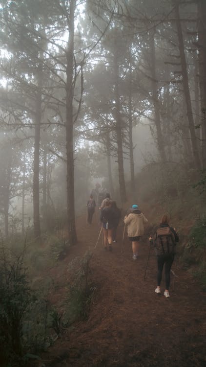 Kostenloses Stock Foto zu guatemala, natur, trekking