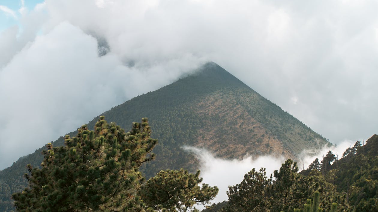 View of a Volcano and Coniferous Trees