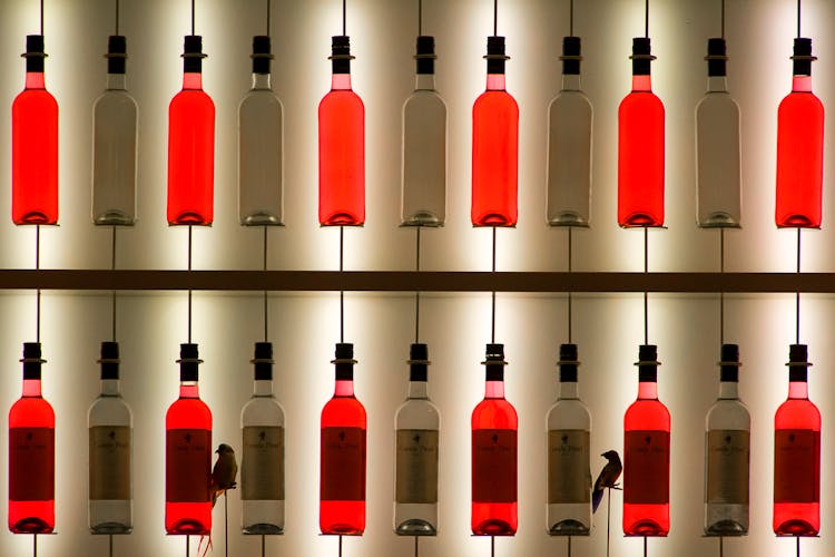 Rows Of Bottles Of Red And White Conde Pinel Wine