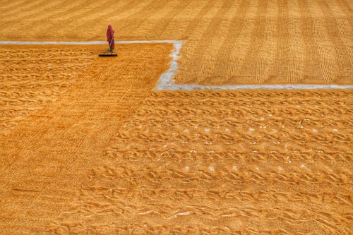 Farmer Working on a Grain Field 