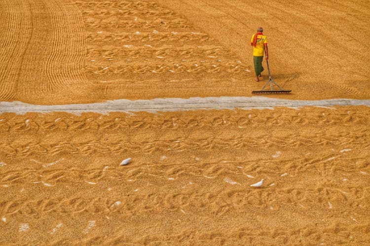 Elderly Man Working On A Field 