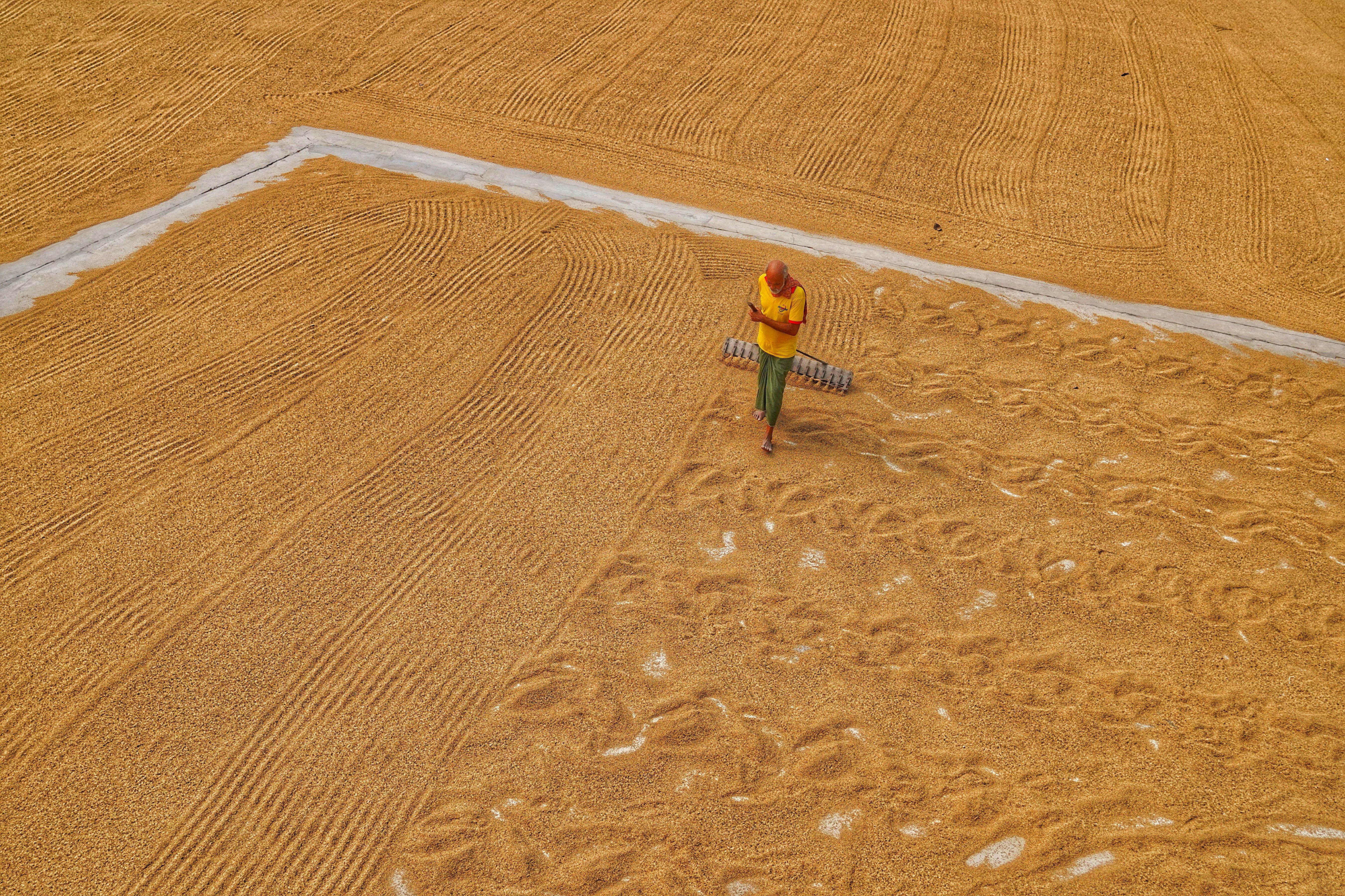 Farmer walking in cornfield - ag business insurance