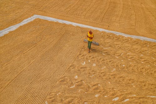 Foto profissional grátis de agricultor, agricultura, andando