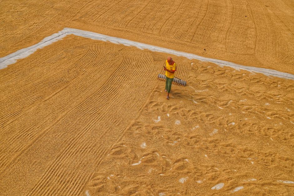 Farmer walking in cornfield - ag business insurance
