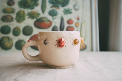 insects mug