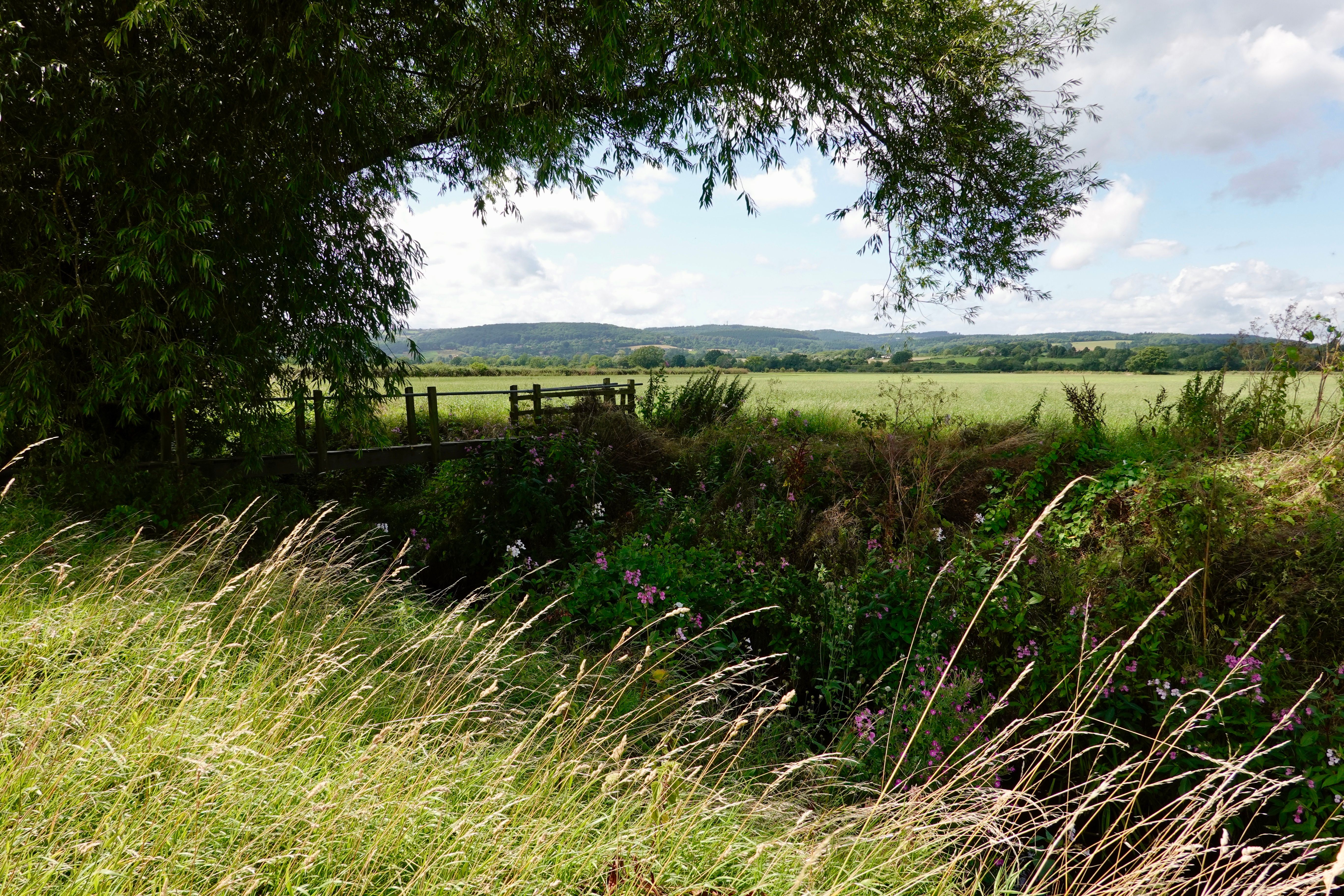 england