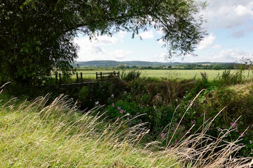 Imagine de stoc gratuită din câmp, centrale, la țară