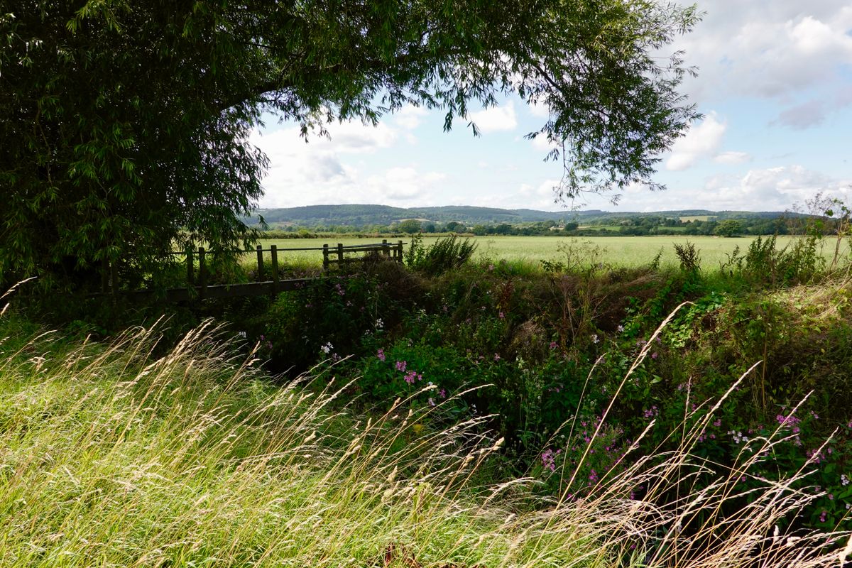 The Orchard, Burnham on Crouch, Essex