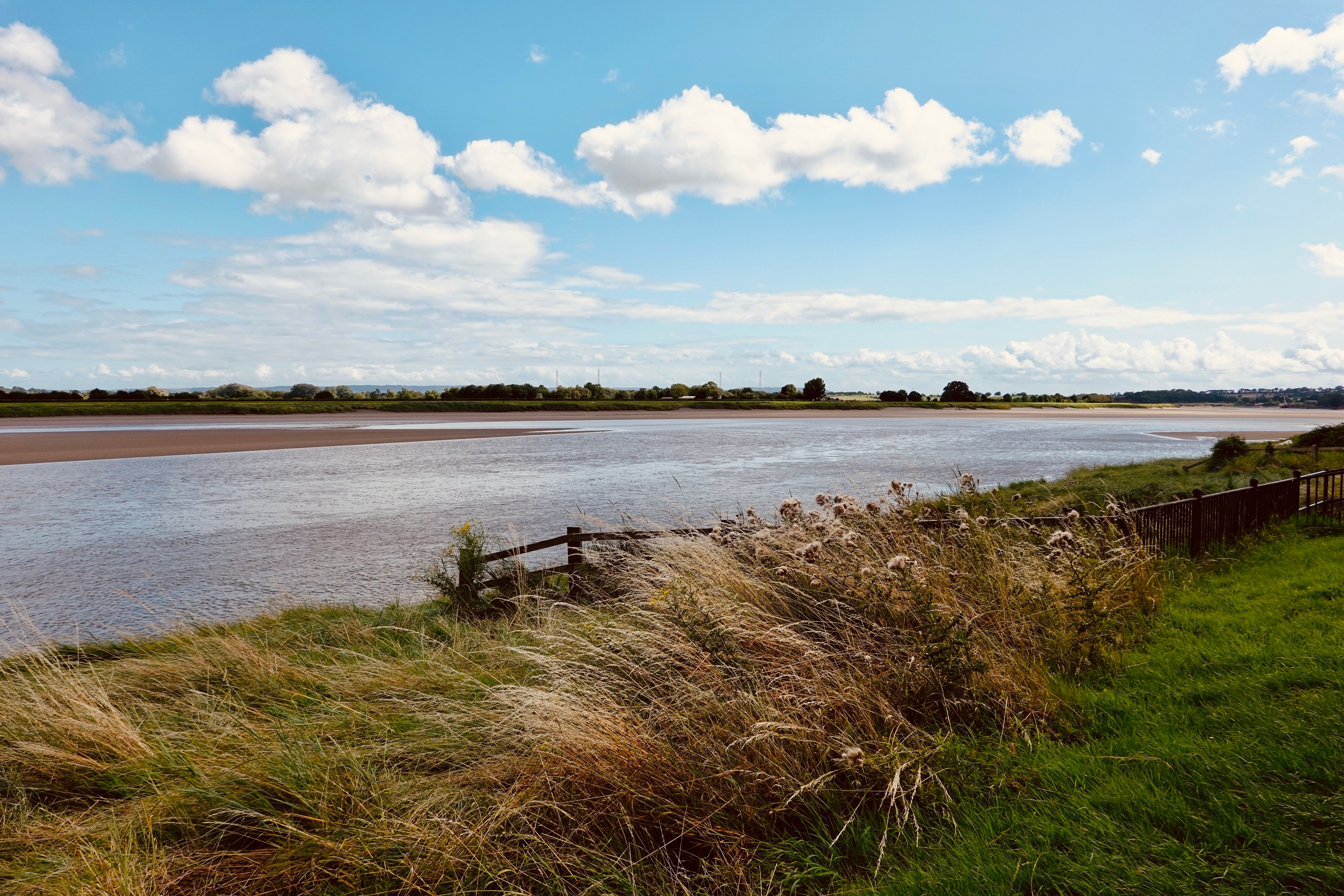 Windblown bank grasses above a wide tidal river — photo by Krisztina Papp on Pexels