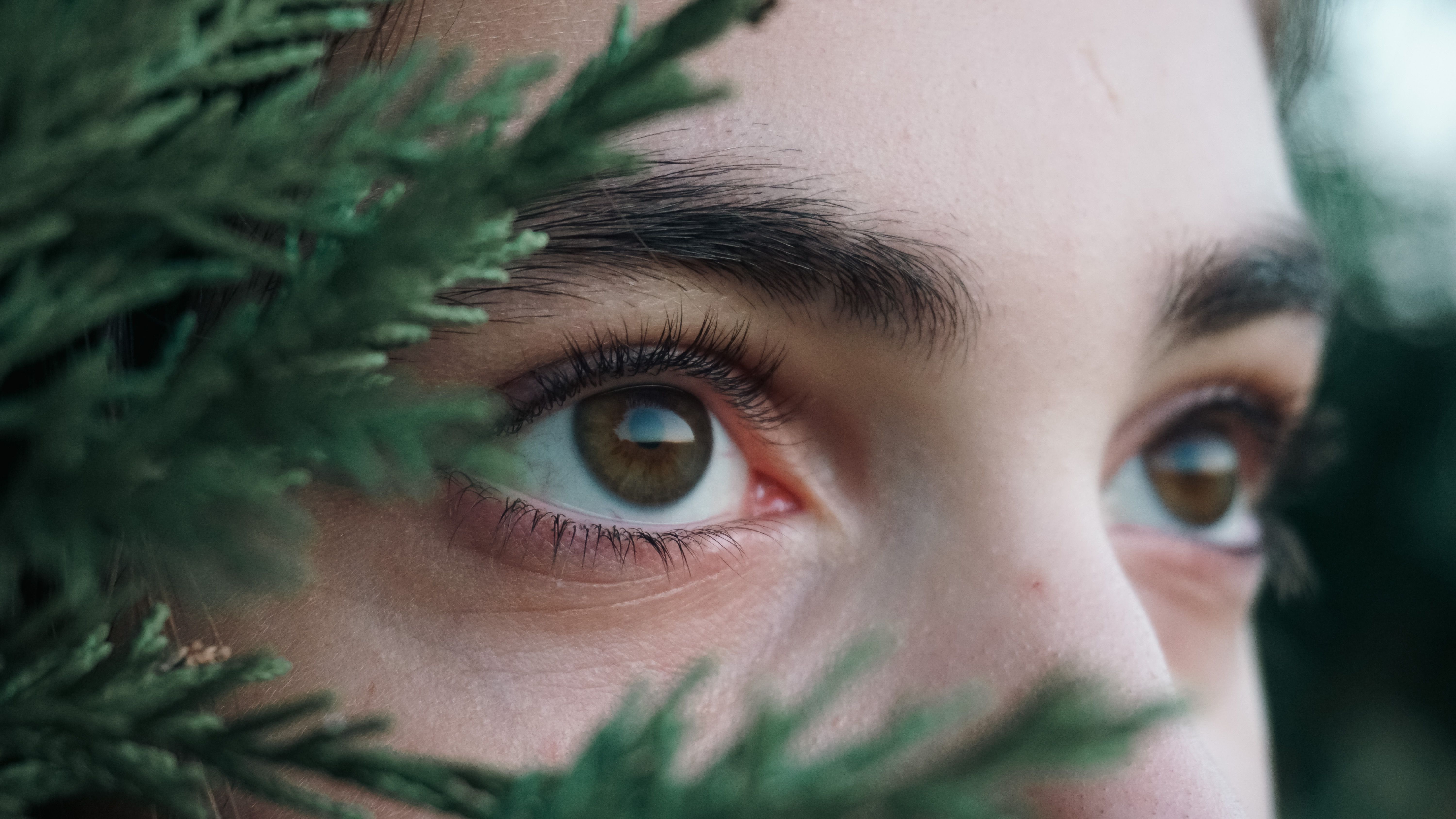 A detailed close-up of a young woman's brown eyes looking through green branches.