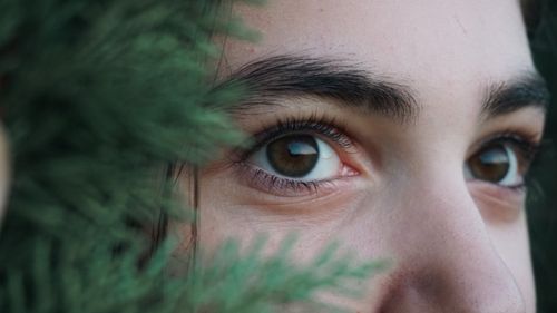 Free A detailed close-up of a person's eyes surrounded by green foliage, highlighting natural beauty. Stock Photo