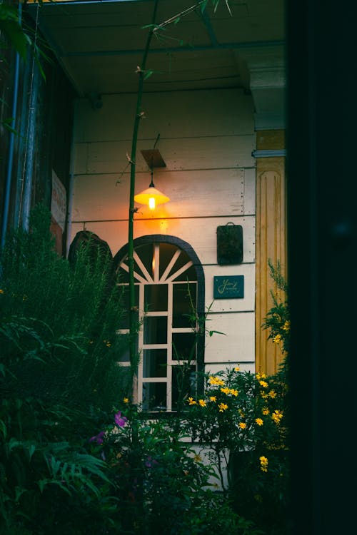 Gratis stockfoto met donkergroen, tegen het licht, tuin achtergrond