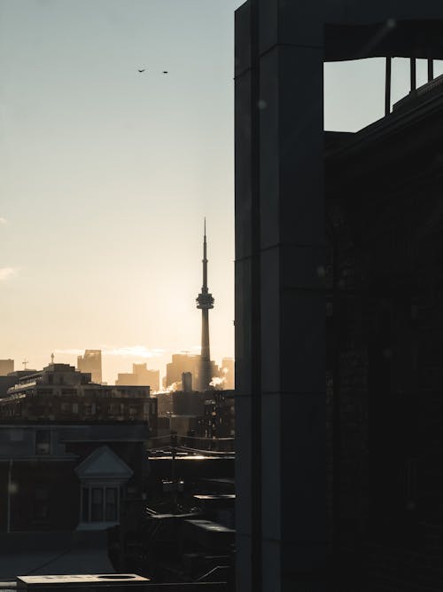 Gratis stockfoto met buitenkant van het gebouw, horizon, plaats