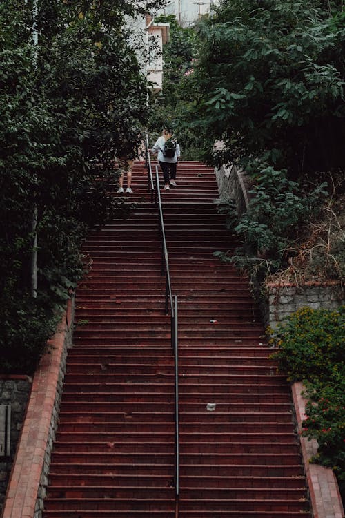 Stairs in Park