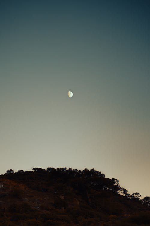 Darmowe zdjęcie z galerii z księżyc, niebo, pionowy strzał