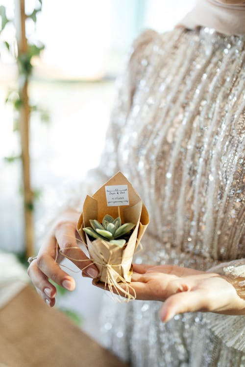 Woman holding a small succulent plant wrapped as a wedding favor.