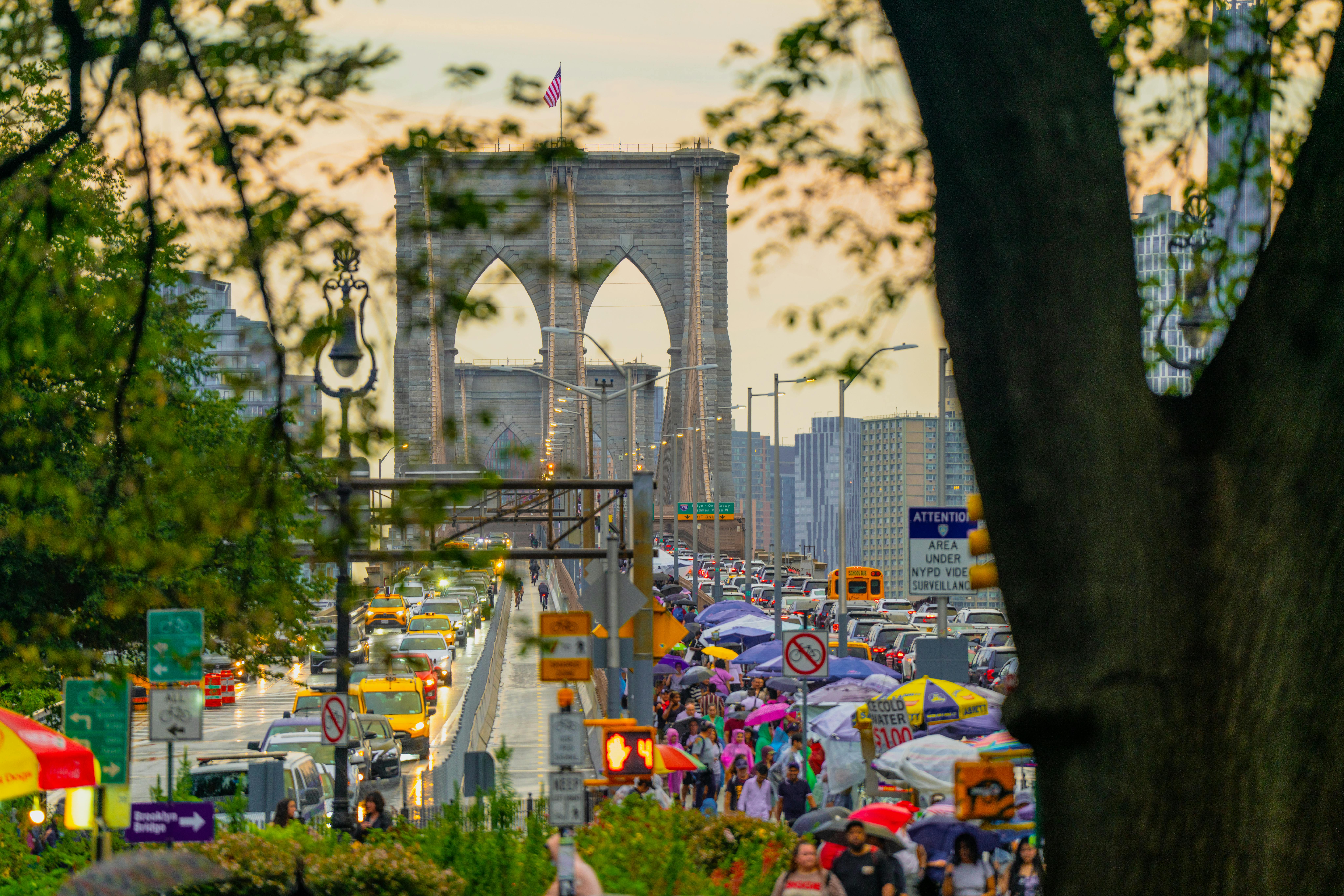 NYC Mayor Eyes Insurance Program for Affordable Housing — Photo by Denil Dominic on Pexels