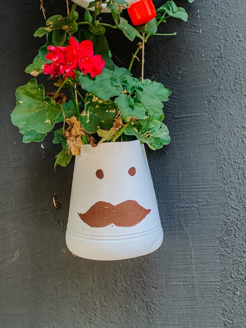 Decorated Flower Pot