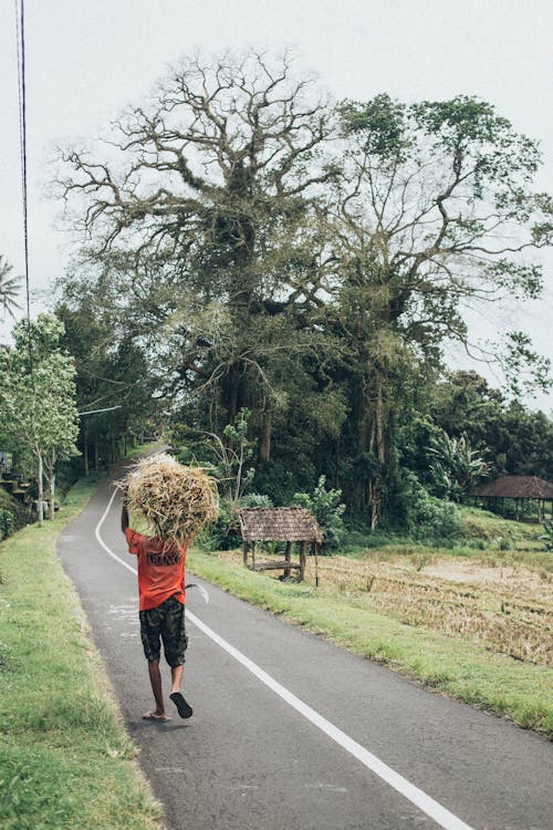 Man in Orange T-shirt Carrying Grass Walking on Concrete Road