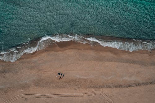 Aerial Shot of a Beach