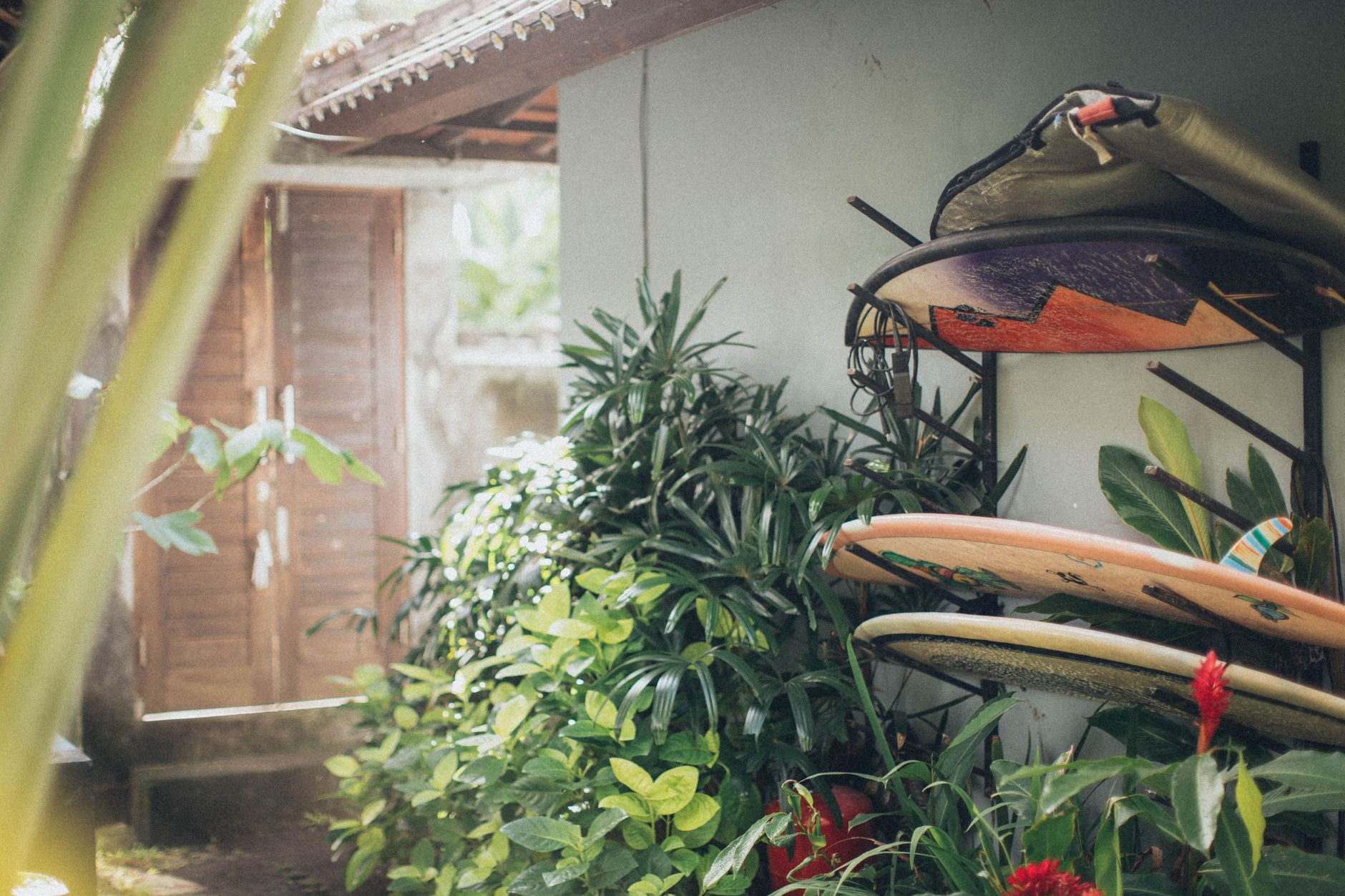 Surfboards stacked in a tropical garden setting, perfect for summertime vibes.