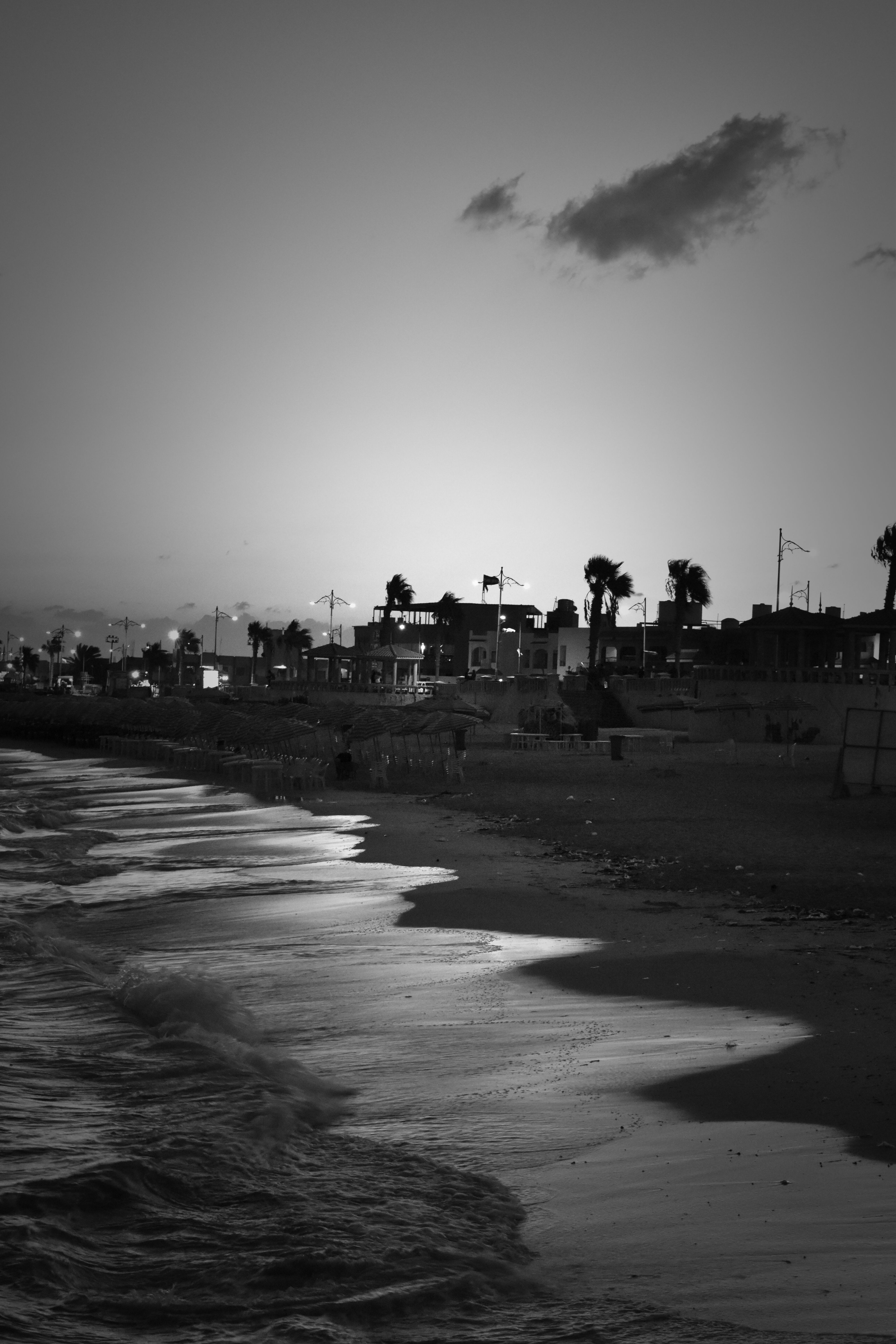Beach on Sea Shore in Black and White · Free Stock Photo