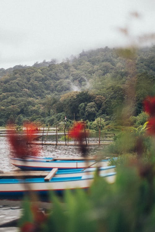 Základová fotografie zdarma na téma čluny, denní světlo, jezero