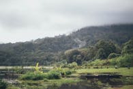 薄雾森林的宁静场景，与湖泊、山丘和多云天空下的船只相映成趣