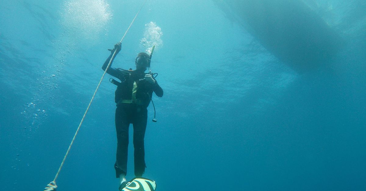 Underwater image of a scuba diver ascending with vibrant fins in the deep blue ocean.