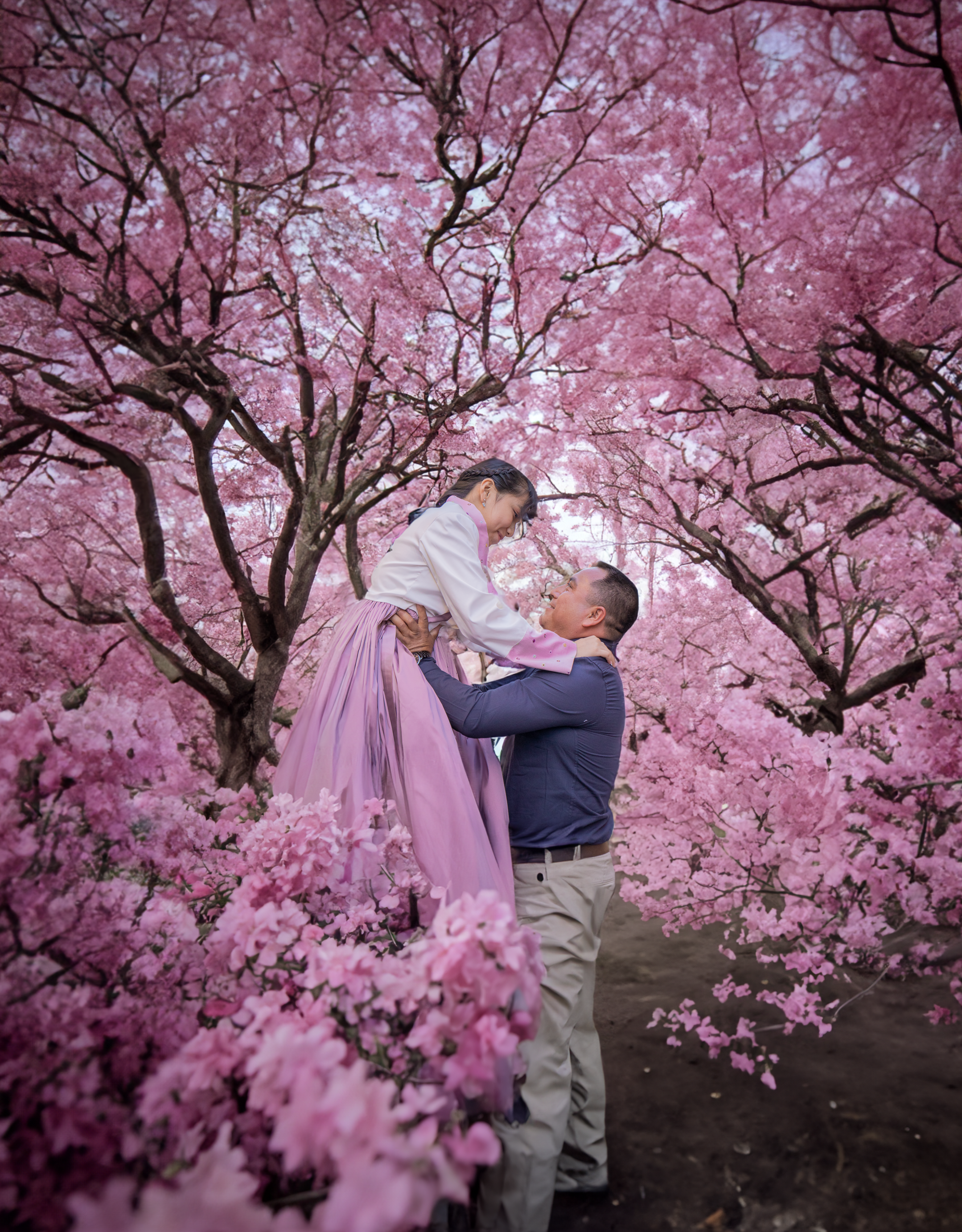 Couple Together among Pink Cherry Trees · Free Stock Photo