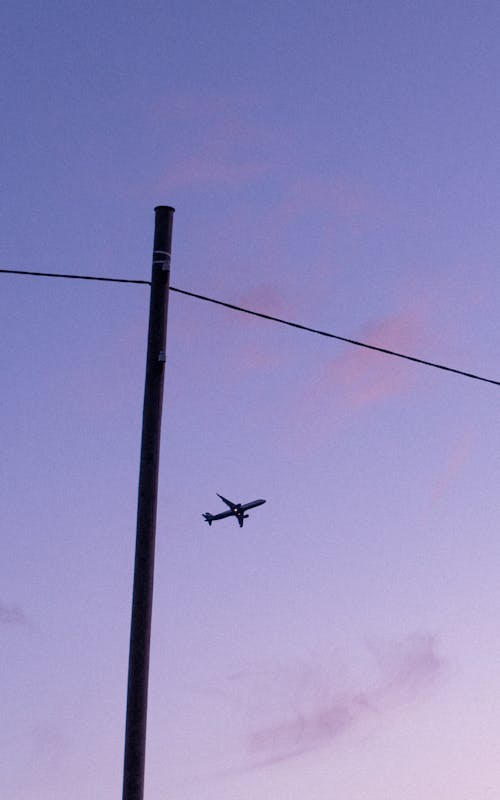 Foto profissional grátis de aeronave, cair da noite, céu