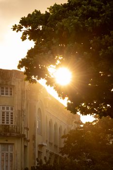 Serene sunset illuminating a historic building in Recife, Brazil, with lush greenery in the foreground.