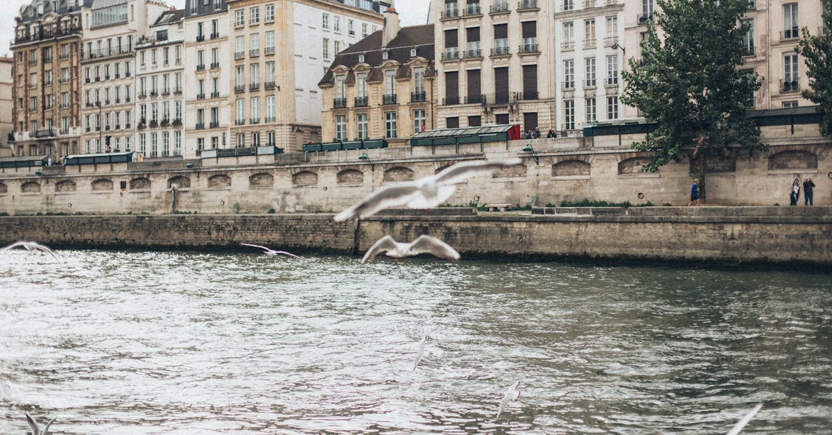 法國政治癱瘓加劇 財政赤字惡化兩大信評機構發出警告