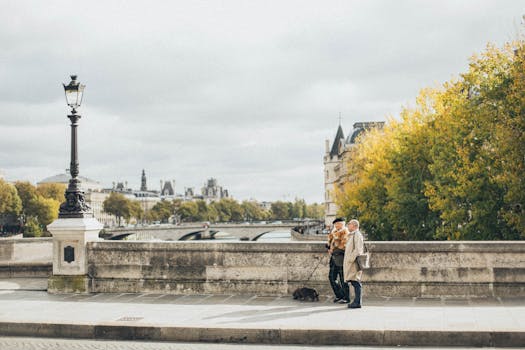 一对老年夫妇在巴黎桥上白天遛狗的迷人场景