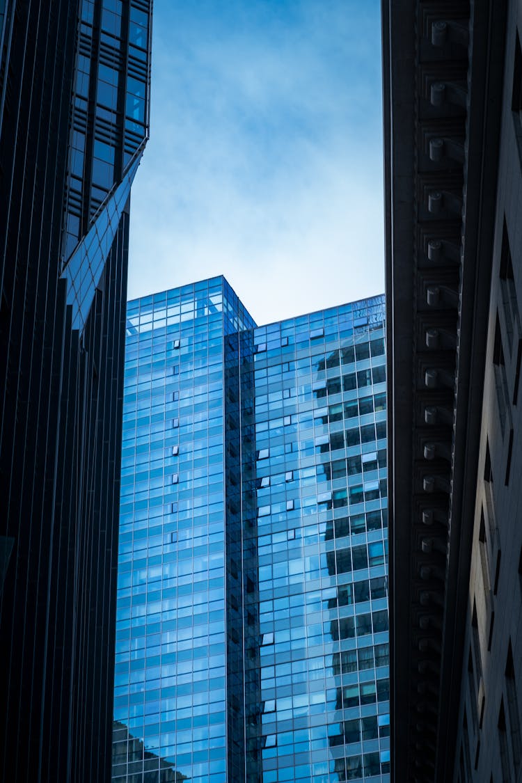 Windows Of Office In City