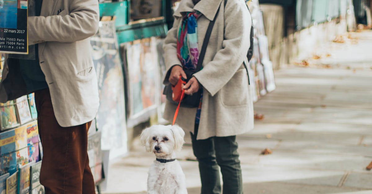 Woman Holding Dog With Dog Leash