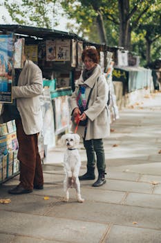 一名妇女带着她的狗，在街头市场构成了一幅迷人的户外场景