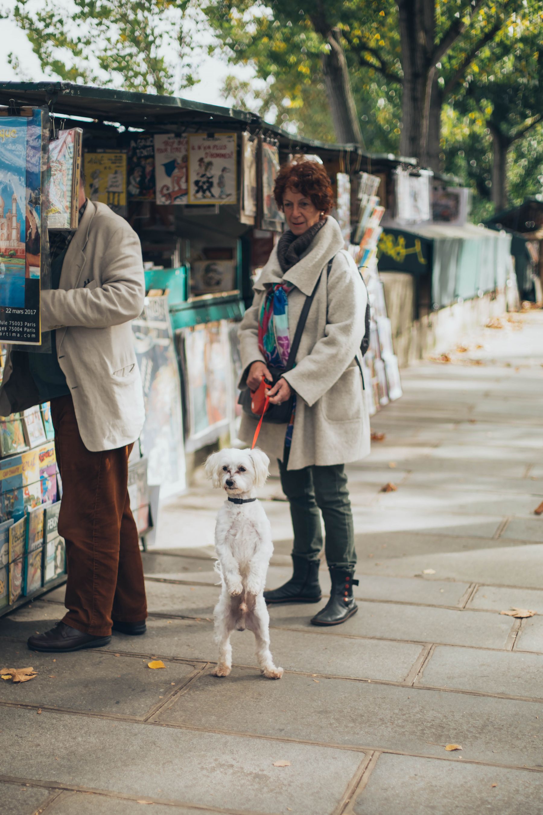 Smiling woman holding her small dog outdoors