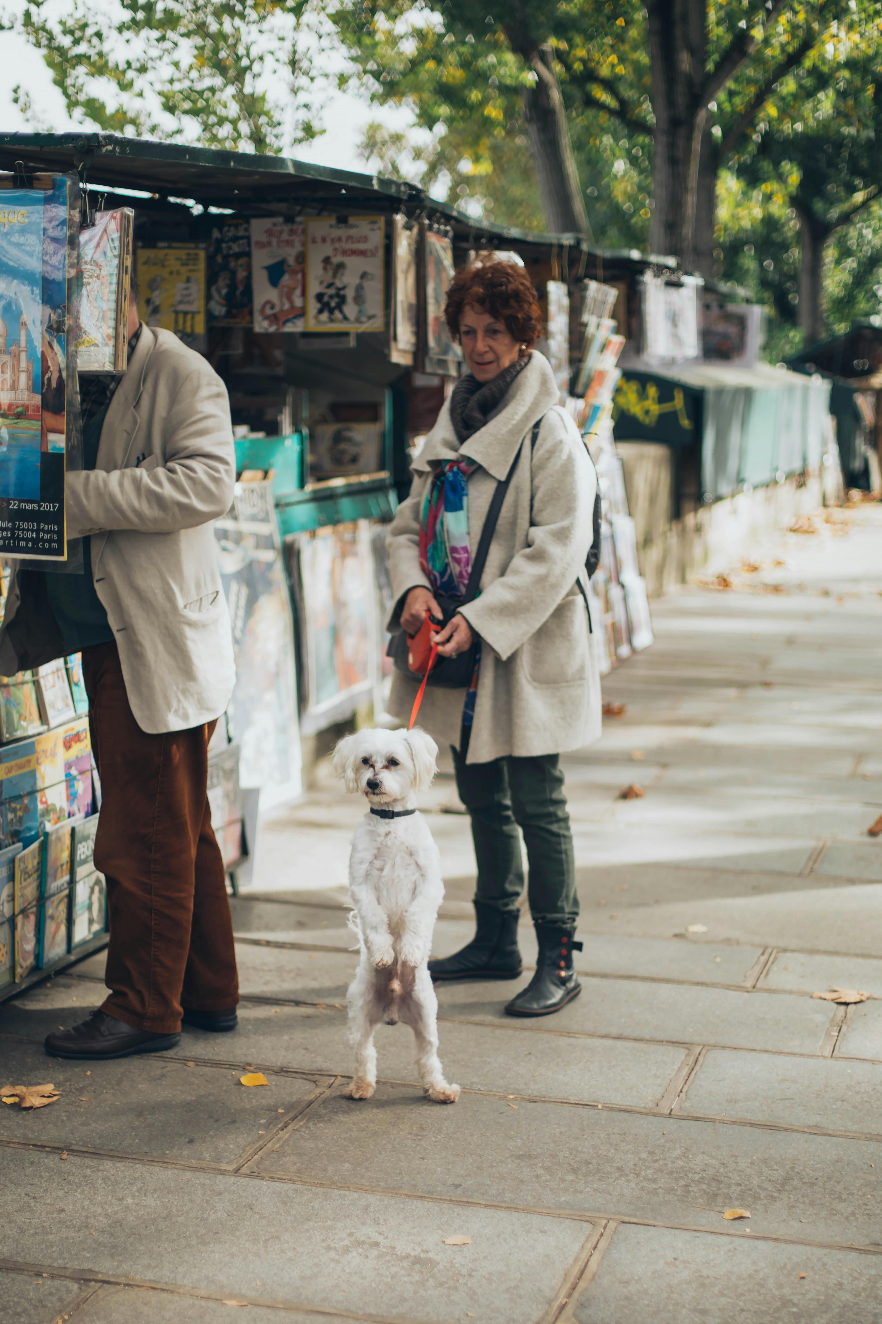 犬の鎖で犬を保持している女性 無料の写真素材