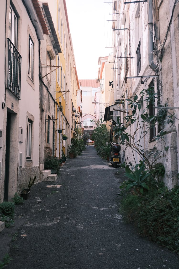 Narrow Alley In City