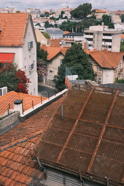 View of Houses in a City 