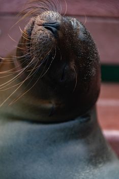 Image by Diego F. Parra