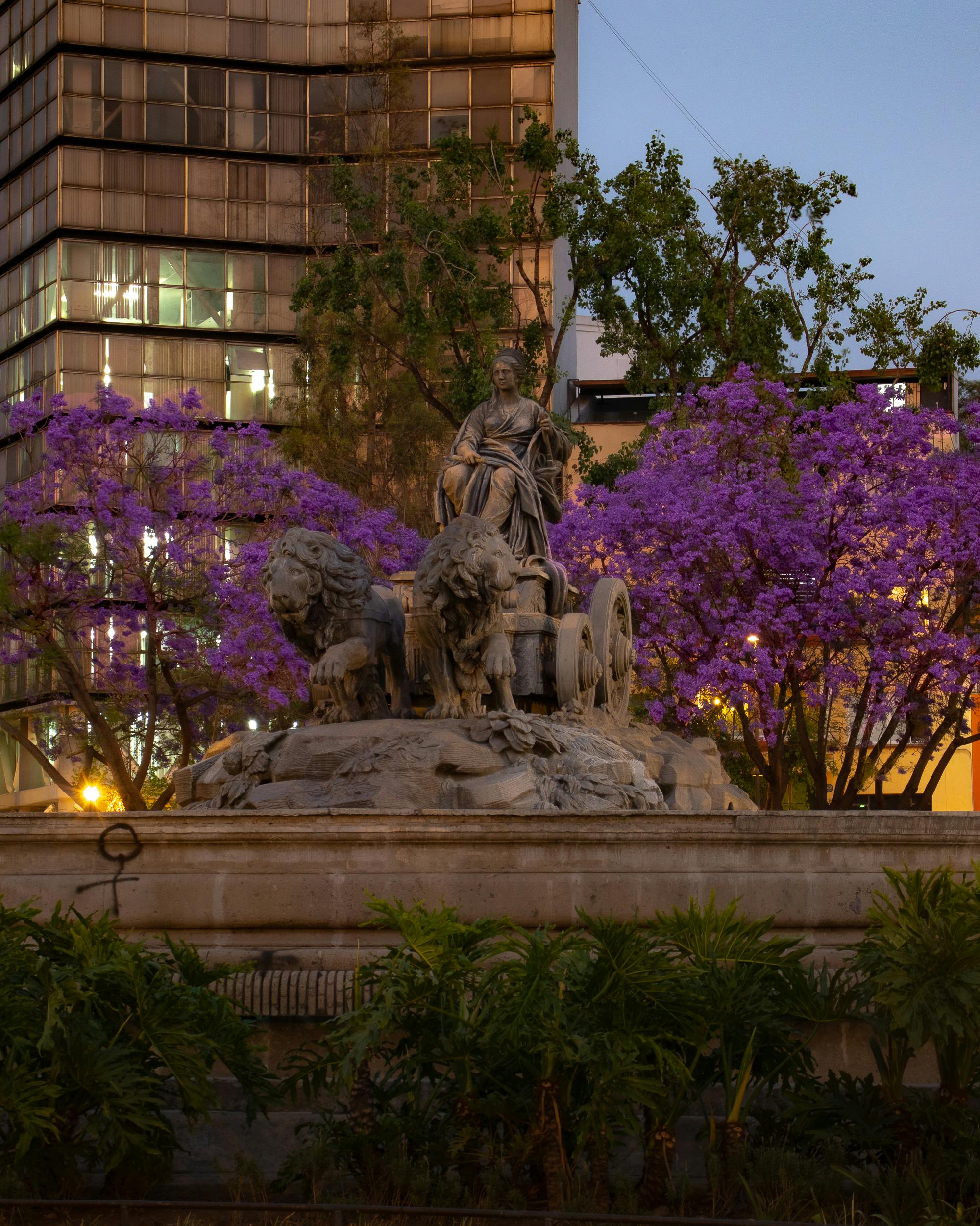 Cibeles Fountain surrounded by purple trees and urban buildings at sunset in a city park.