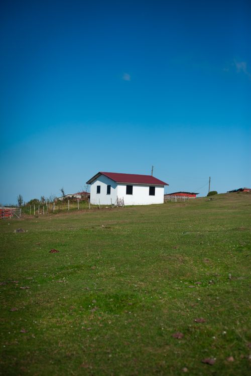 A house standing alone on open grassland under a wide sky, illustrative of rural prairie living