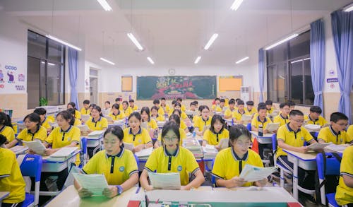 Teenagers in Yellow Polo Shirts Studying at Desks in a Class Room