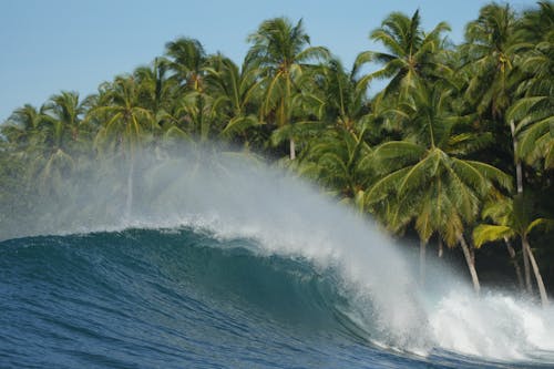 Immagine gratuita di acqua, grande onda, isola