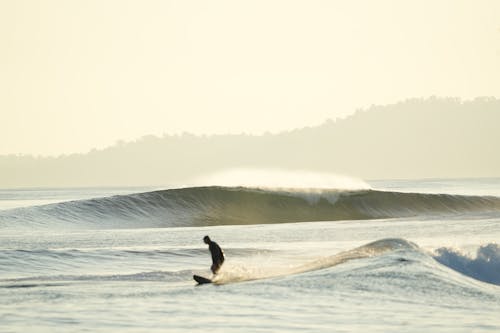 Foto d'estoc gratuïta de cultura de surf, escena de surf, taula de surf