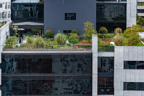 Foto profissional grátis de aerofotografia, arbustos, arquitetura contemporânea