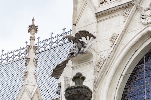 Základová fotografie zdarma na téma bazilika národního slibu, chrlič, ekvádor