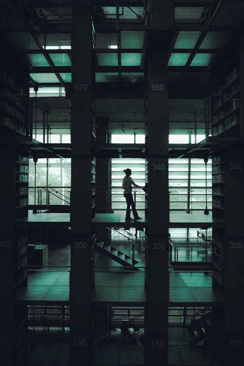 內部, 圖書館, 垂直拍摄 的 免费素材图片